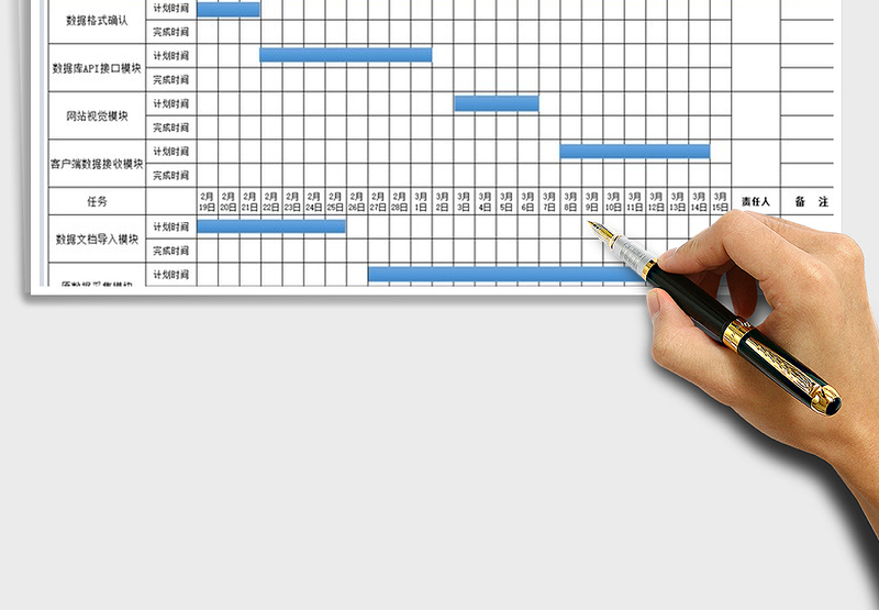 2021年公司数据信息化项目进度计划表