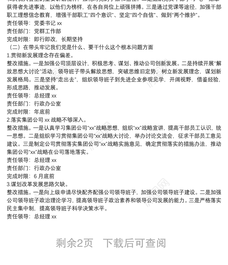 公司党委班子党史学习教育专题民主生活会整改方案