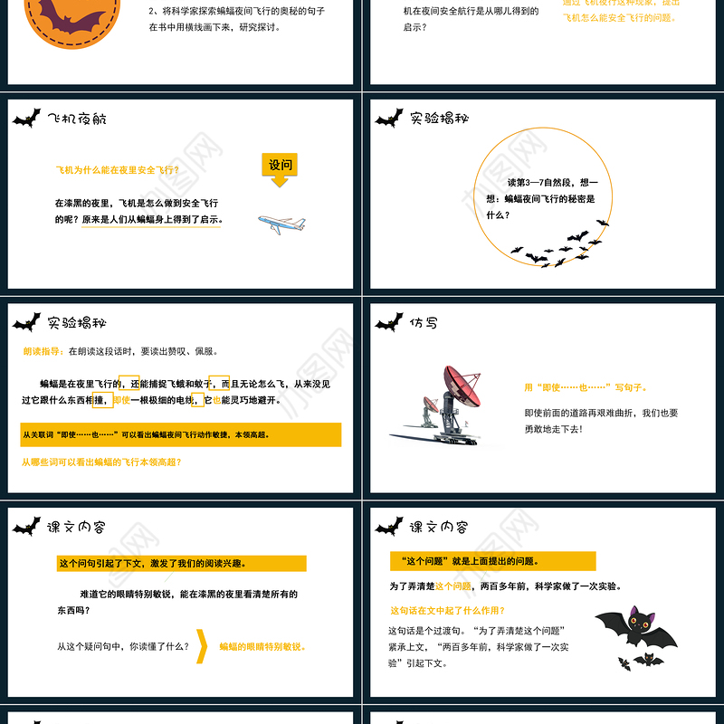 2022蝙蝠和雷达PPT第6课小学四年级语文上册部编人教版教学课件