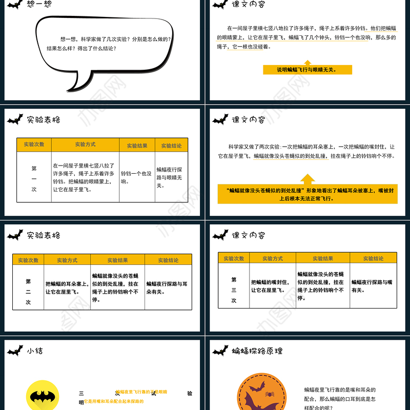 2022蝙蝠和雷达PPT第6课小学四年级语文上册部编人教版教学课件