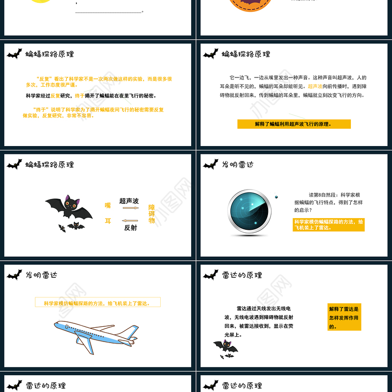 2022蝙蝠和雷达PPT第6课小学四年级语文上册部编人教版教学课件