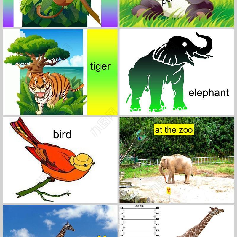  Unit 3 At the zoo第一课时英语课件PPT模板