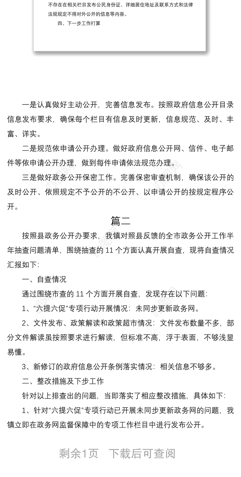 2021政务公开自查报告2篇