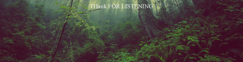 清新唯美梦幻森林PPT模板