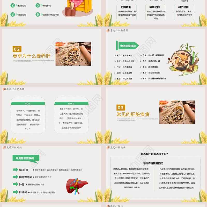 2022春季养肝PPT中国风春季为什么要养肝主题宣传知识课件模板
