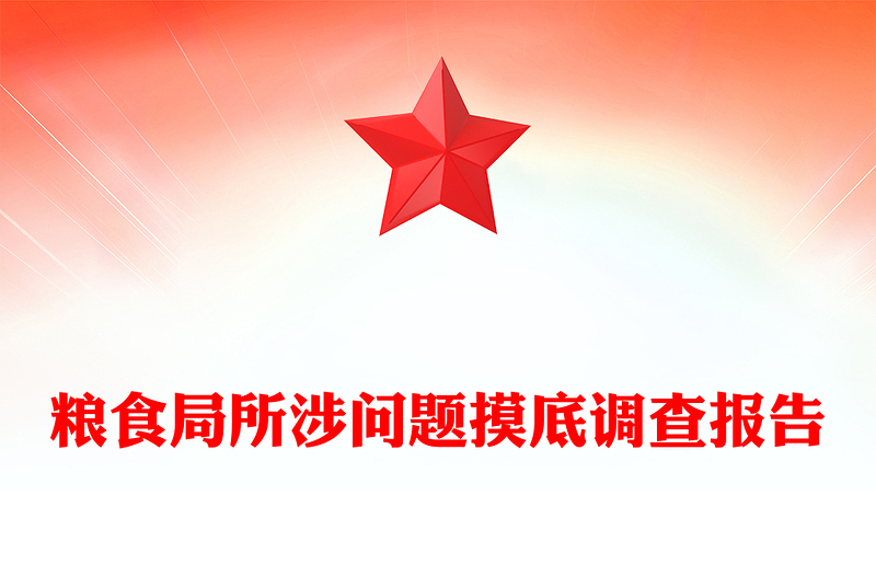 粮食局所涉问题摸底调查报告