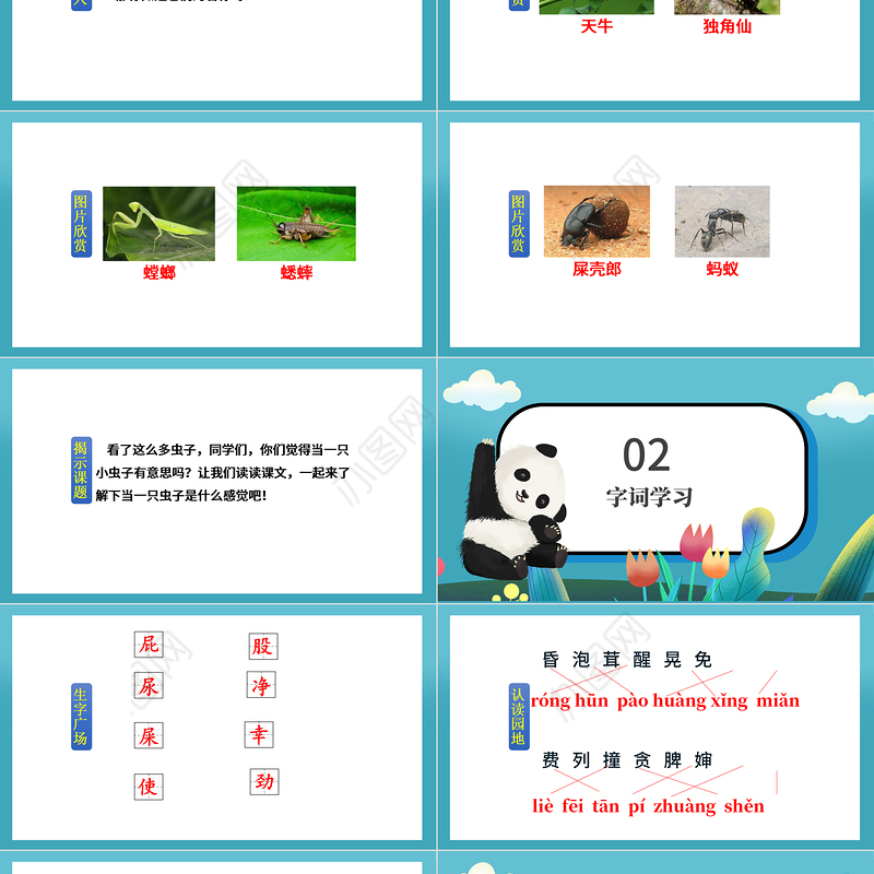 2022我是一只小虫子PPT课文第11课小学二年级语文下册部编人教版教学课件