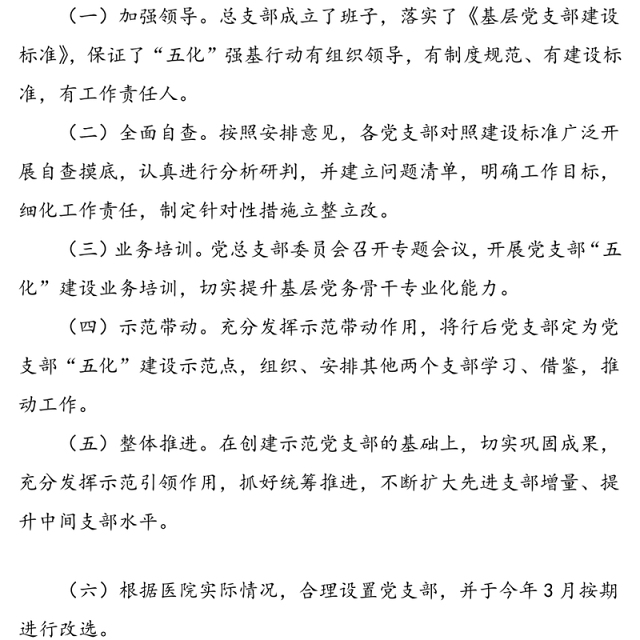 医院党总支党建“五化”强基行动工作总结范文