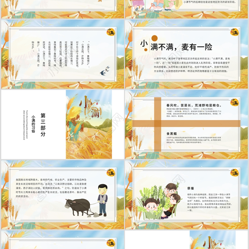 简约麦穗二十四节气之小满ppt模板