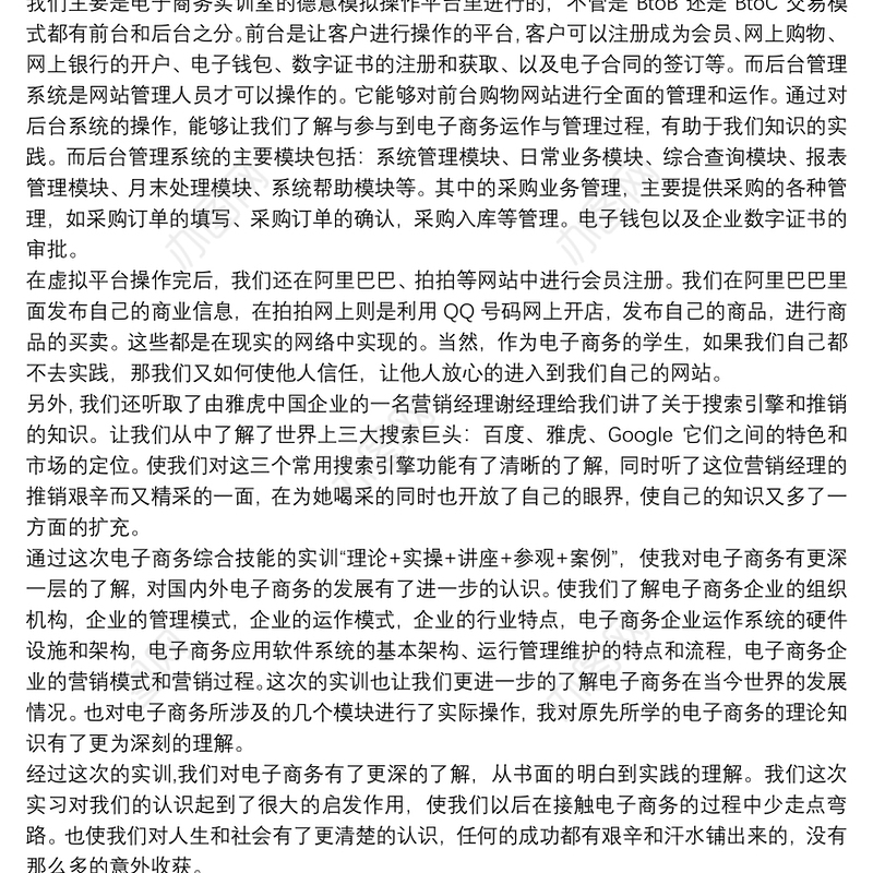 电子商务实训报告总结3篇