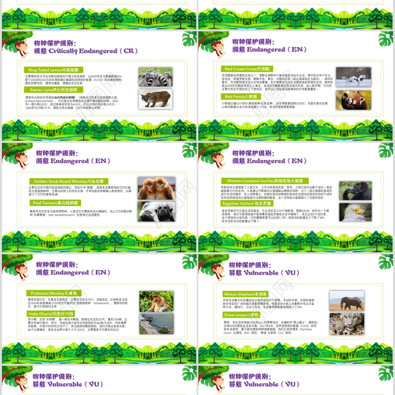 世界动物日介绍保护动物ppt