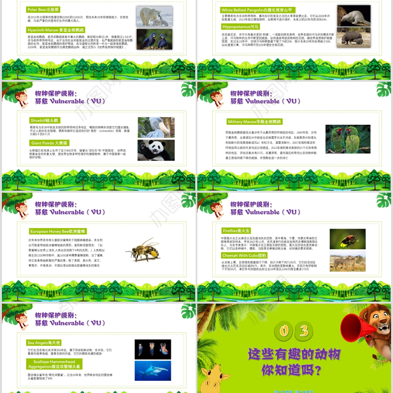 世界动物日介绍保护动物ppt