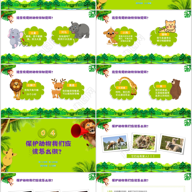 世界动物日介绍保护动物ppt