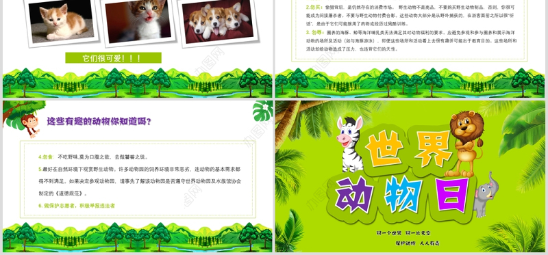 世界动物日介绍保护动物ppt