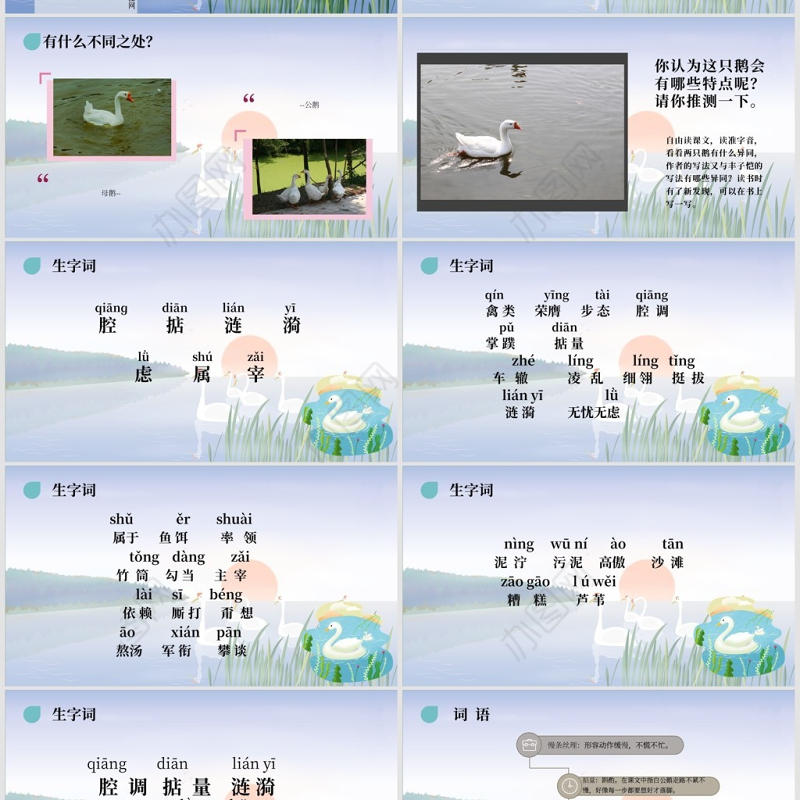 人教版四年级上册白公鹅ppt