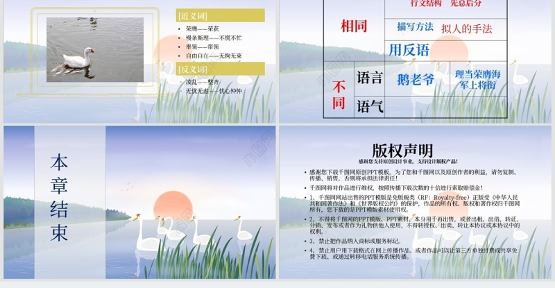 人教版四年级上册白公鹅ppt