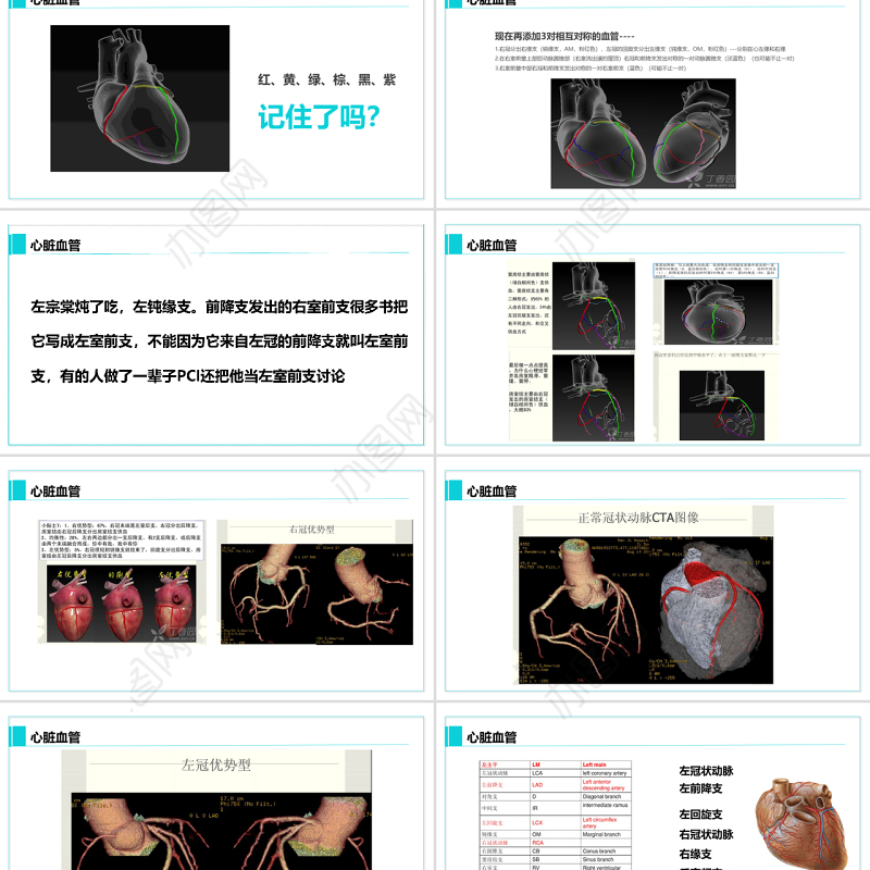 完整内容心脏健康医学解剖研究PPT模板素材下载