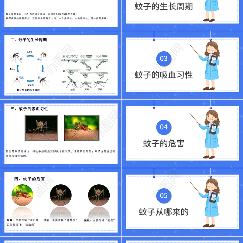 2022医疗预防登革热防蚊灭蚊主题班会PPT清新创意医疗主题班会通用PPT模板下载