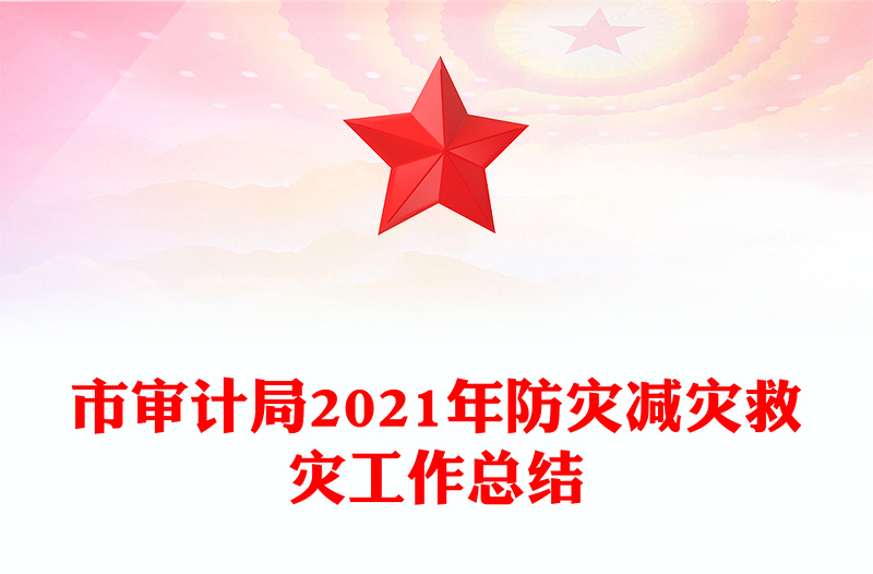 市审计局2021年防灾减灾救灾工作总结