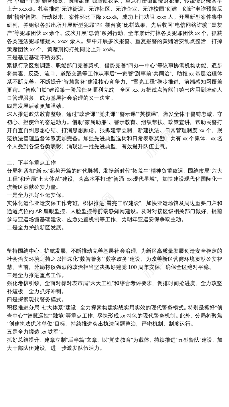 区公安分局上半年度工作总结及下半年重点工作