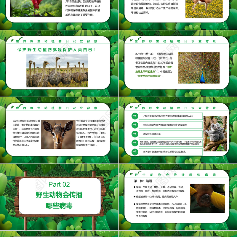 2022保护野生动植物PPT卡通简约风世界野生动植物日知识介绍课件模板