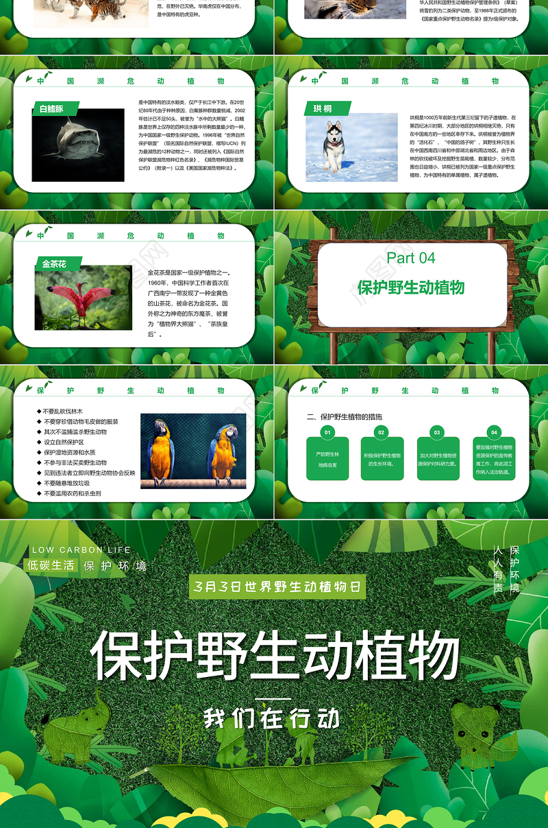 2022保护野生动植物PPT卡通简约风世界野生动植物日知识介绍课件模板