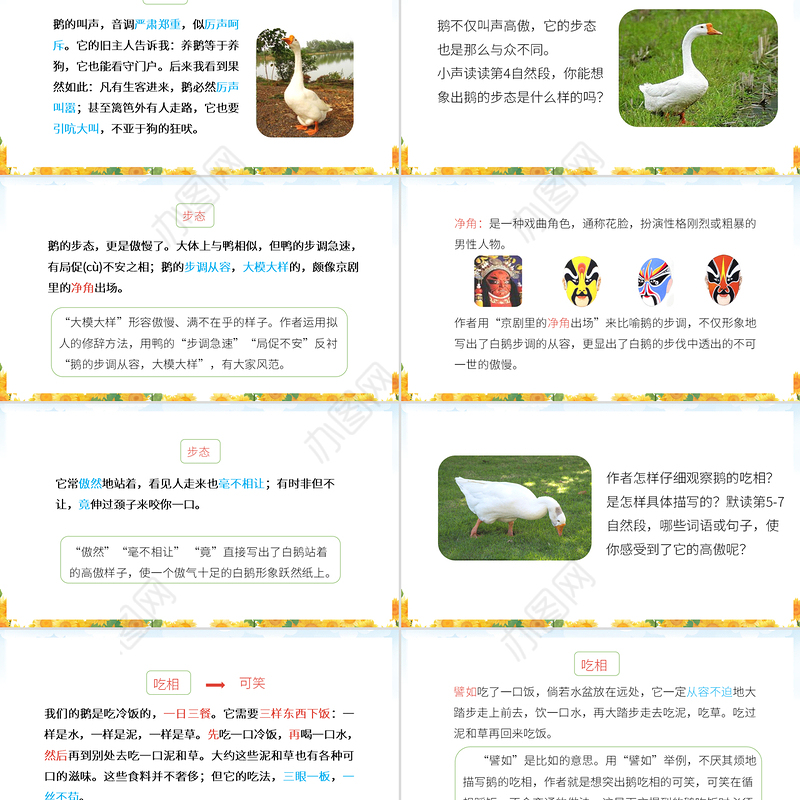 2022白鹅PPT第15课小学四年级语文下册部编人教版教学课件