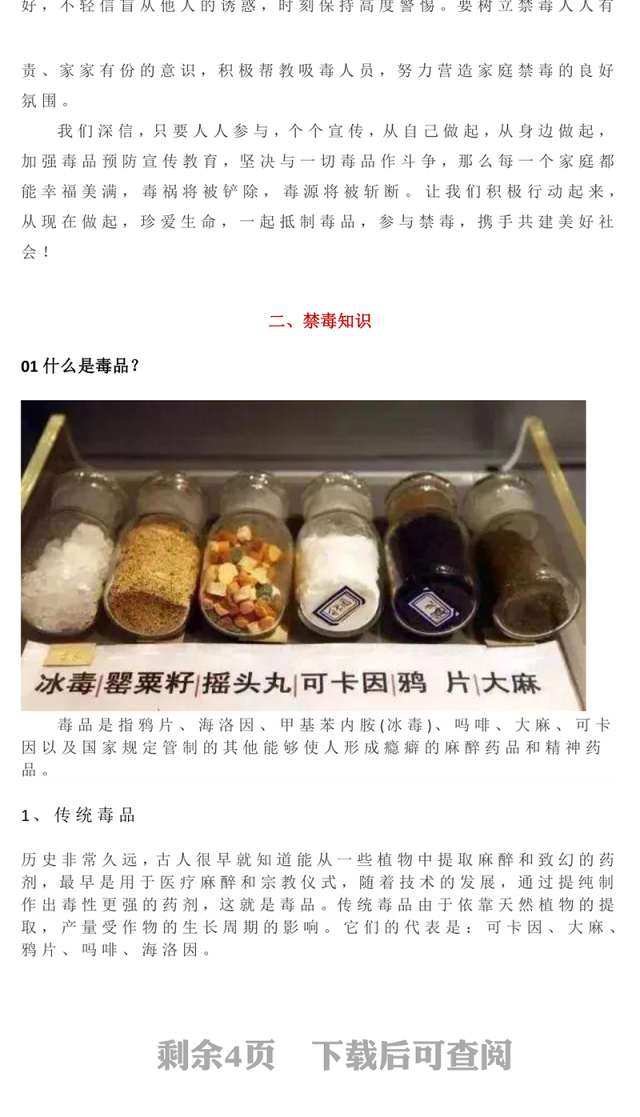 2025禁毒知识宣传PPT珍爱生命远离毒品主题班会(讲稿)