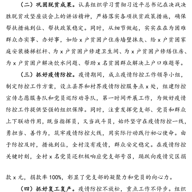 2020年村党支部书记述职报告范文