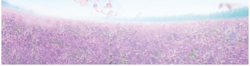 唯美个人写真结婚情侣恋爱PPT电子相册