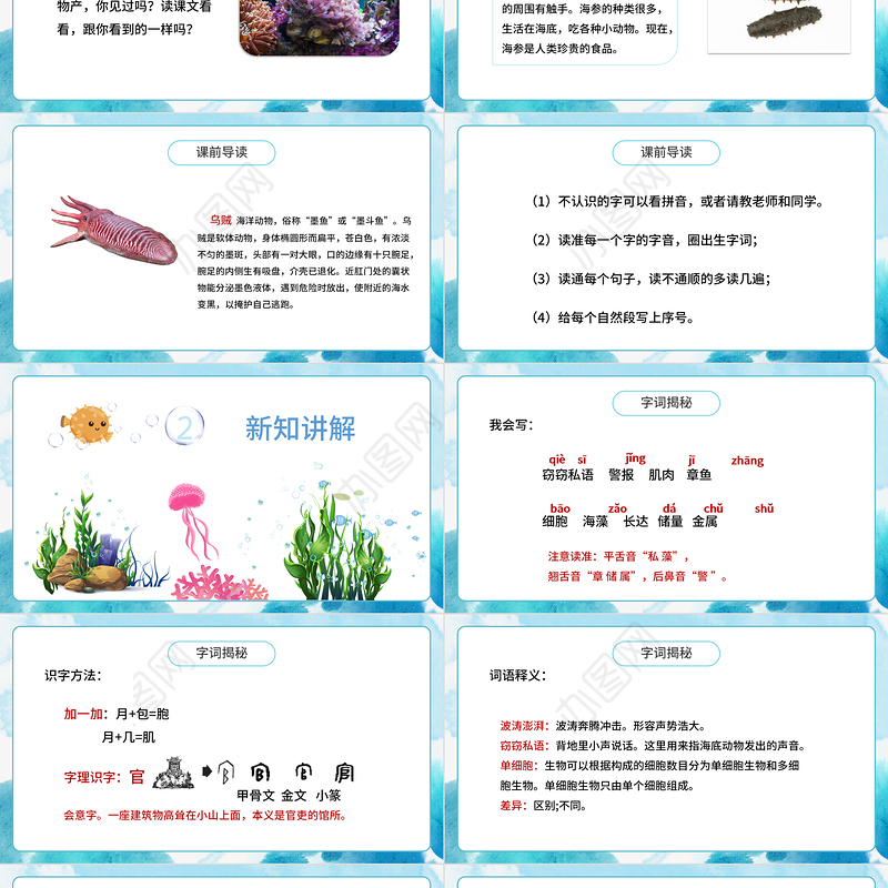 2022海底世界PPT第23课小学三年级语文下册部编人教版教学课件