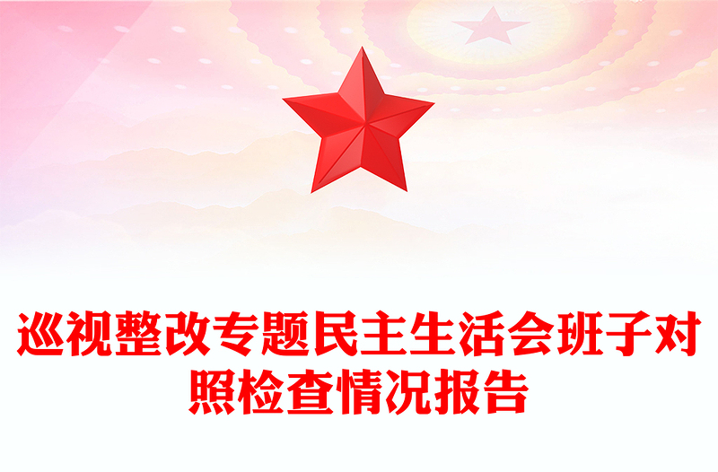 巡视整改专题民主生活会班子对照检查情况报告