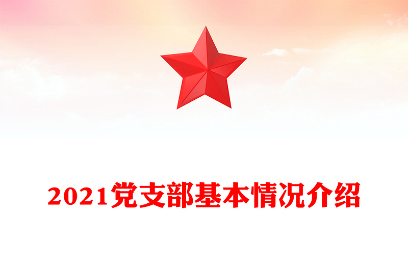 2021党支部基本情况介绍