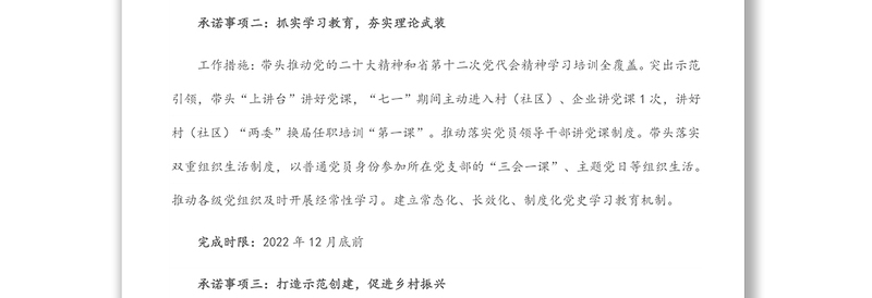 2022年度书记抓基层党建工作承诺书