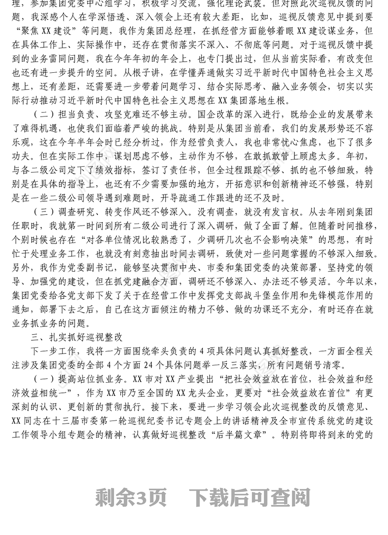 党委副书记巡视整改专题民主生活会发言提纲