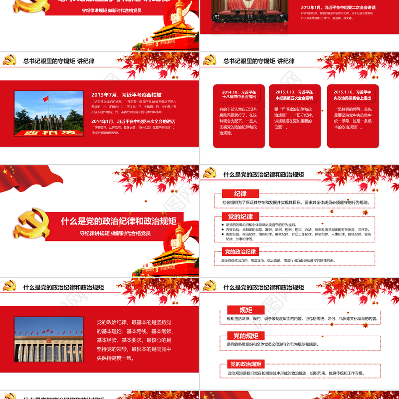 新时代合格党员守规矩讲纪律PPT模板