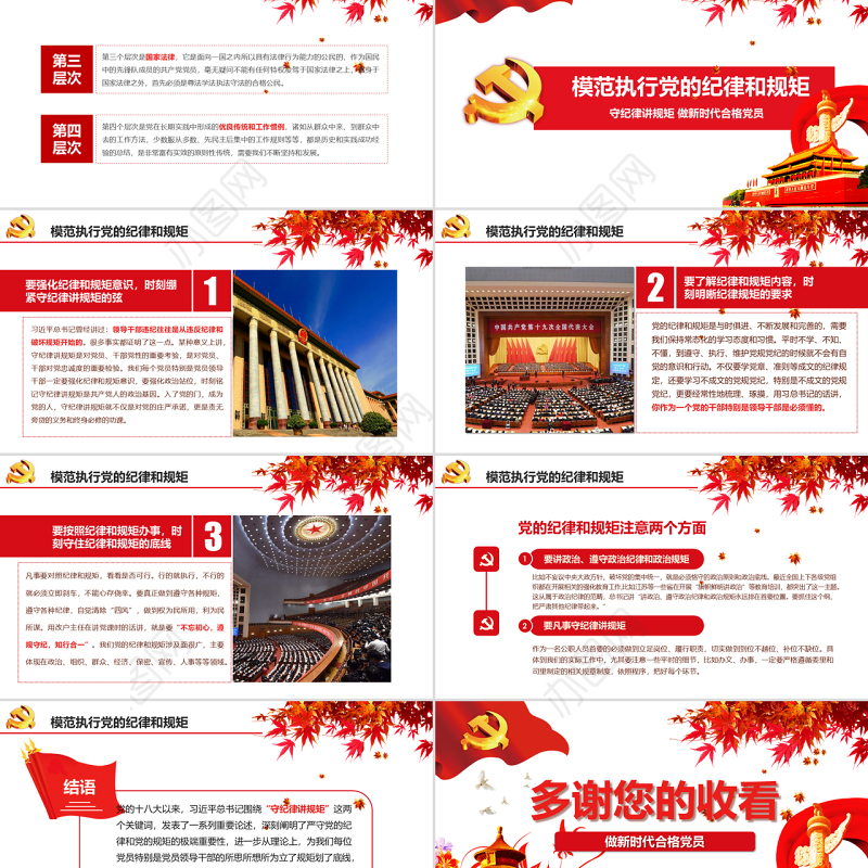 新时代合格党员守规矩讲纪律PPT模板