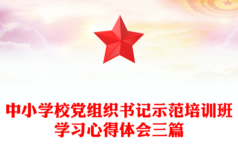 中小学校党组织书记示范培训班学习心得体会三篇