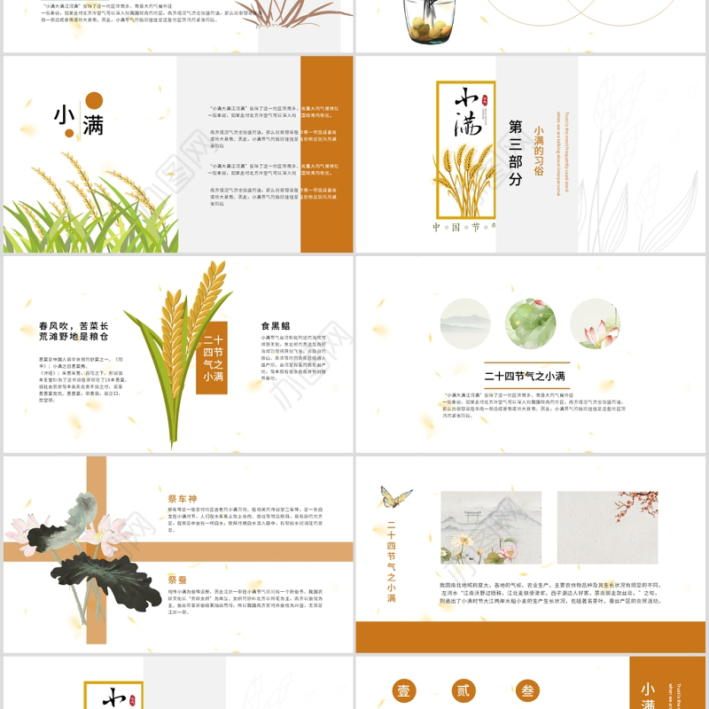 简约风二十四节气小满介绍PPT模板