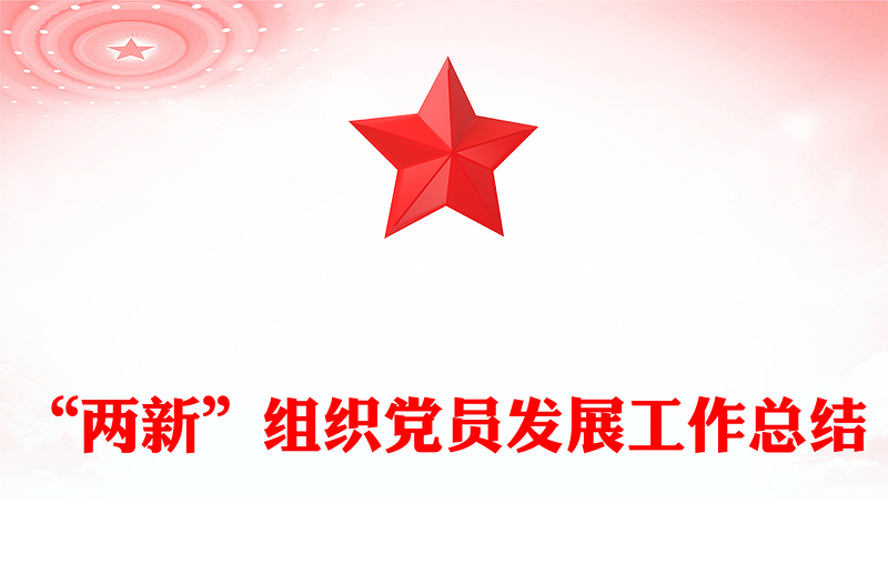“两新”组织党员发展工作总结