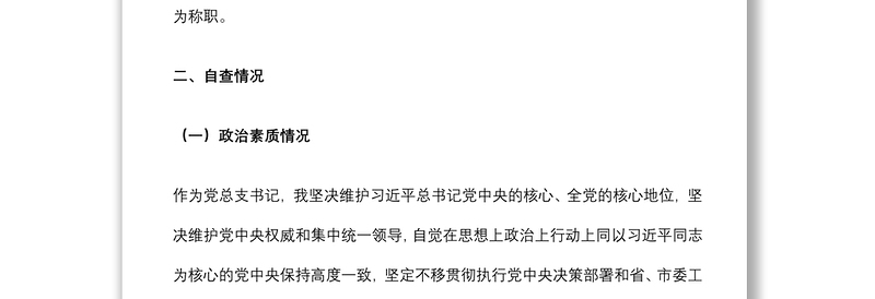 领导干部个人政治自画像