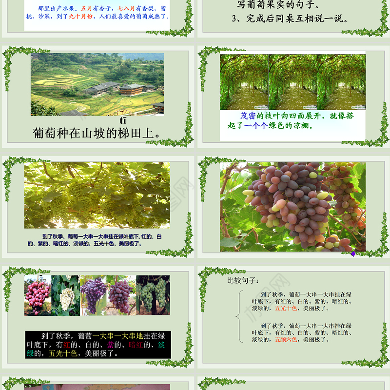 2022葡萄沟PPT课文第11课小学二年级语文上册部编人教版教学课件