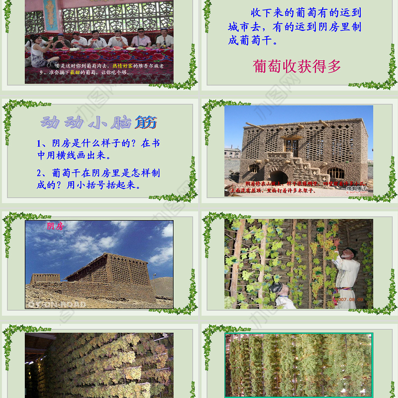 2022葡萄沟PPT课文第11课小学二年级语文上册部编人教版教学课件