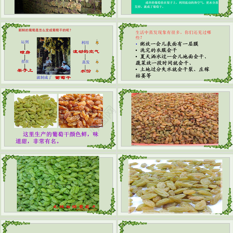 2022葡萄沟PPT课文第11课小学二年级语文上册部编人教版教学课件