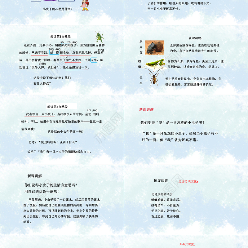 2022我是一只小虫子PPT课文第11课小学二年级语文下册部编人教版教学课件