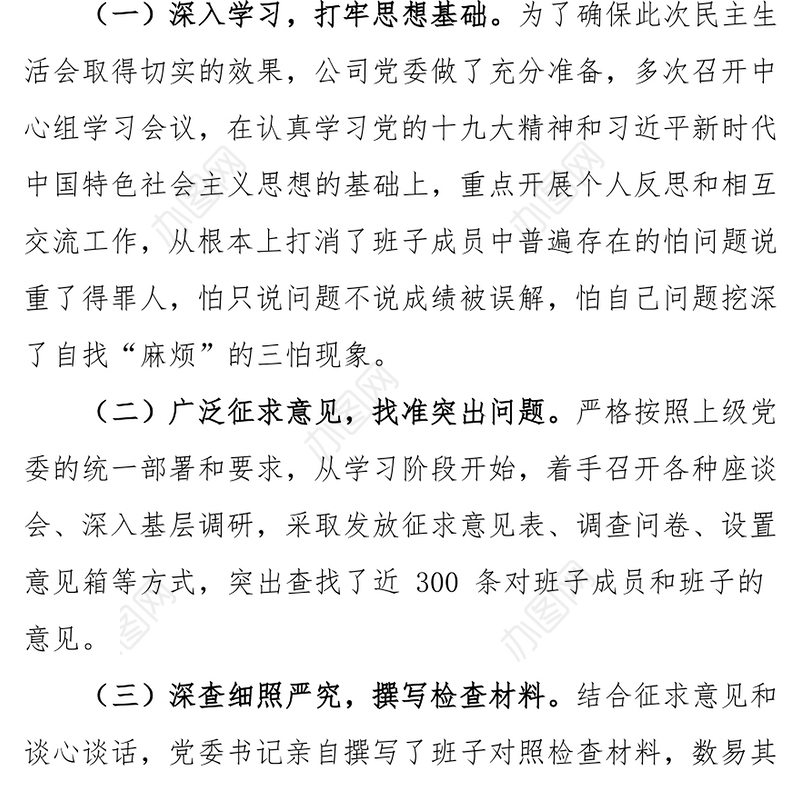 公司民主生活会专题报告(二)