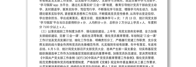市统计局党支部20**年上半年工作总结