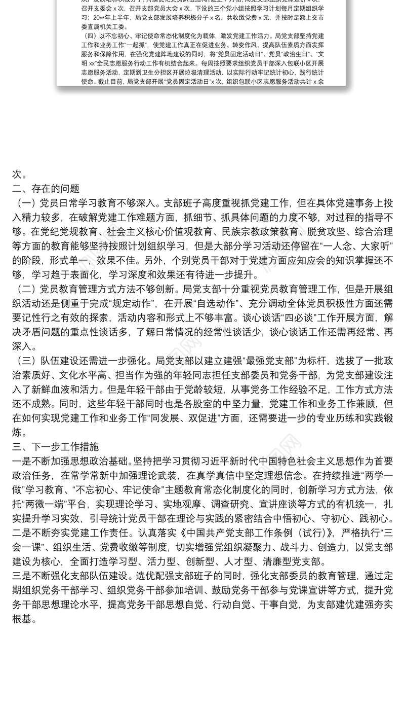 市统计局党支部20**年上半年工作总结