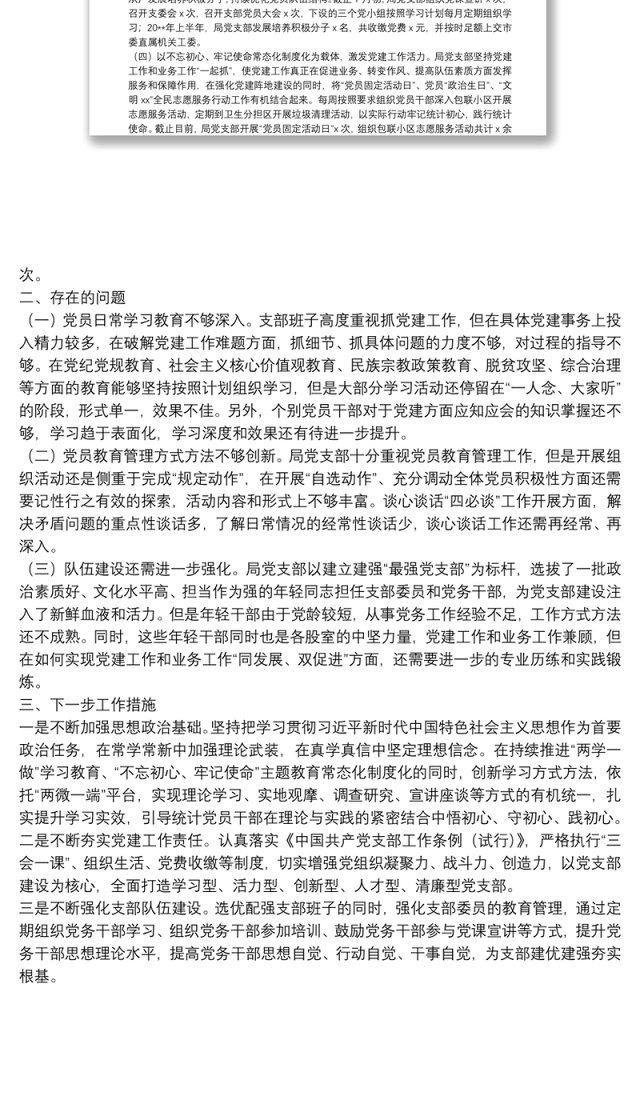市统计局党支部20**年上半年工作总结