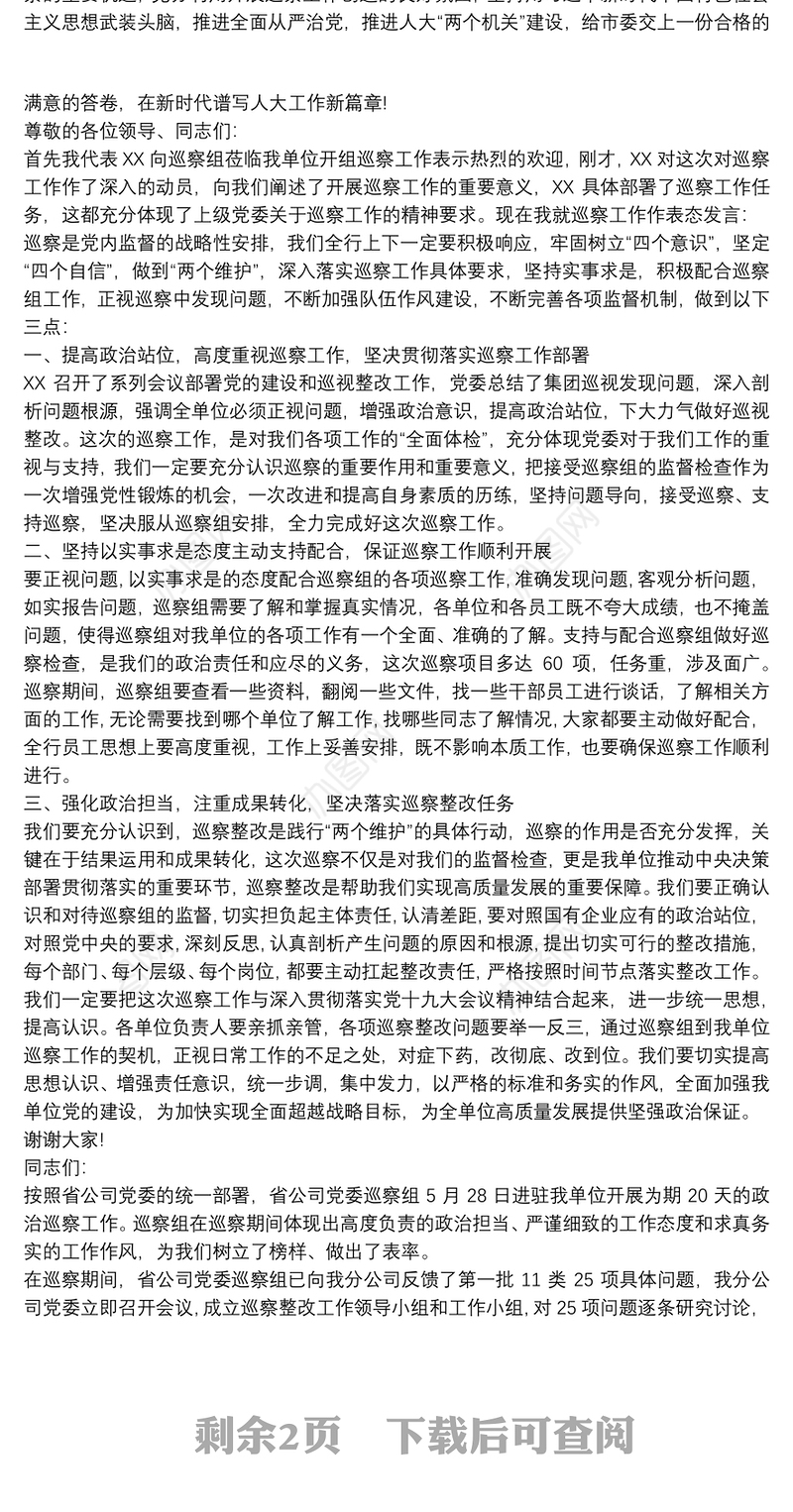2021政治巡察表态发言